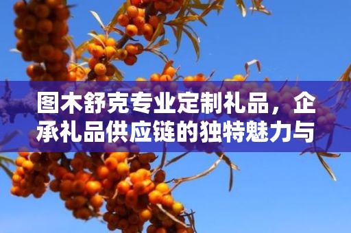 图木舒克专业定制礼品，企承礼品供应链的独特魅力与卓越服务